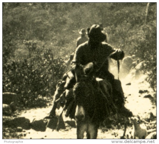 Argentine Cordillere Des Andes Vegetation 1500M Ancienne Stereo Photo Stereoscope NPG 1900 - Stereoscopic