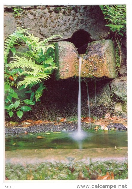 Allemagne Odenwald/Hessen Setzers Brunnen Bei Bullau BE - Odenwald