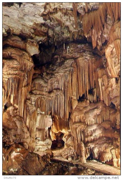 Bari - Grotte Di Castellana - La Fonte - Formato Grande Viaggiata - Bari