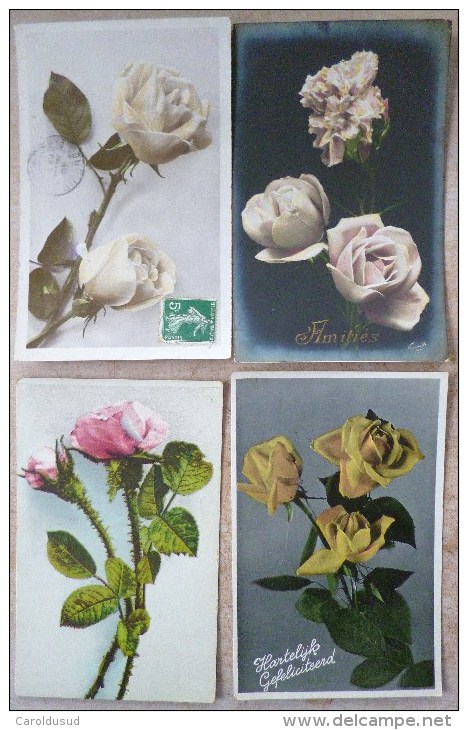 CP Lot 7x  Photo Fantaisie Theme Belle Rose Roses Tige Et Boutons Bouton Rosée VOIR PHOTOS - Verzamelingen & Kavels