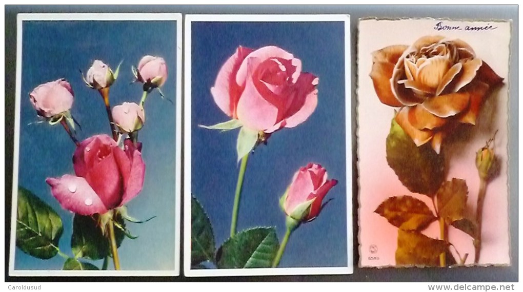 CP Lot 7x  Photo Fantaisie Theme Belle Rose Roses Tige Et Boutons Bouton Rosée VOIR PHOTOS - Colecciones Y Lotes