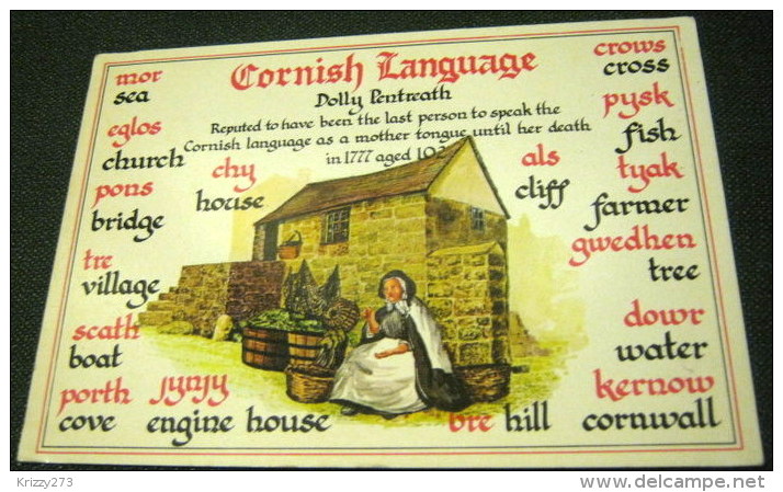 England Cornwall Cornish Language 6303 - Murray King - Unused - Autres & Non Classés