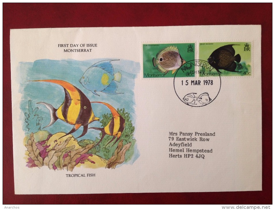 Angleterre? FDC Poisson Tropical Fish First Day Cover - 1971-1980 Em. Décimales