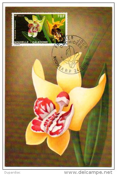 988 / Carte Premier Jour De NOUVELLE  - CALEDONIE : Orchidées (illustration, Timbre Et Cachet Concordants) - Tarjetas – Máxima