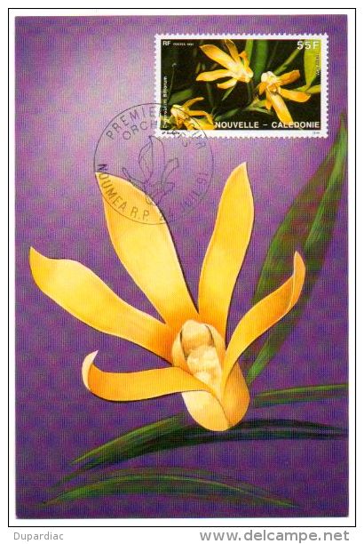 988 / Carte Premier Jour De NOUVELLE  - CALEDONIE : Orchidées (illustration, Timbre Et Cachet Concordants) - Cartes-maximum