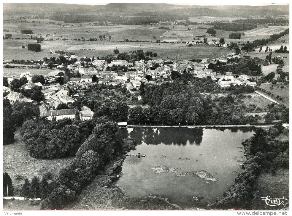 C4276 Cpsm 88 Bulgneville - Vue Aérienne Et L'Etang - Bulgneville