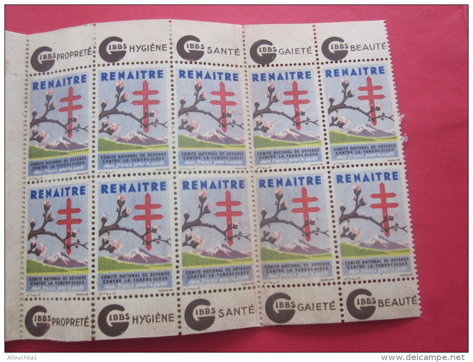 Rare 1945 ERINNOPHILIE FRANCE BLOC CARNET 10 VIGNETTE ANTI TUBERCULEUX NESTLE GIBBS 15é CAMPAPAGNE CONTRE TUBERCULOSE - Blokken & Postzegelboekjes