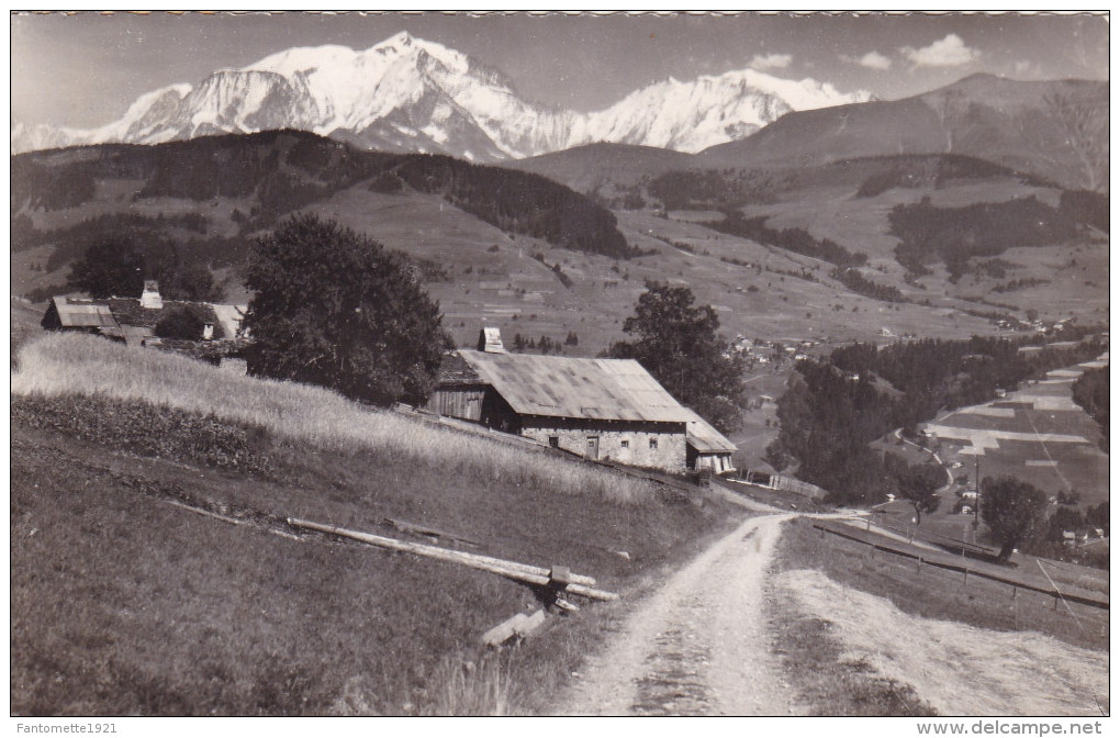 MEGEVE  VUE SUR LE MONT BLANC (dil201) - Megève