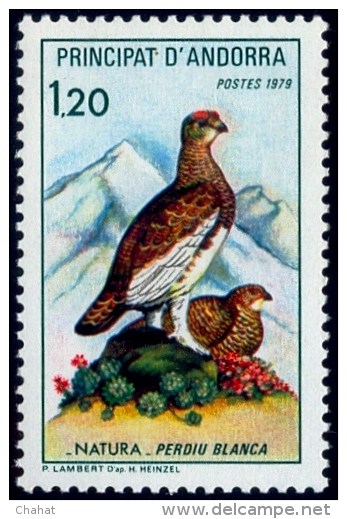 BIRDS-ROCK PTARMIGAN-NATURE PROTECTION-ANDORAA-1979-MNH A6-406 - Piciformes (pájaros Carpinteros)