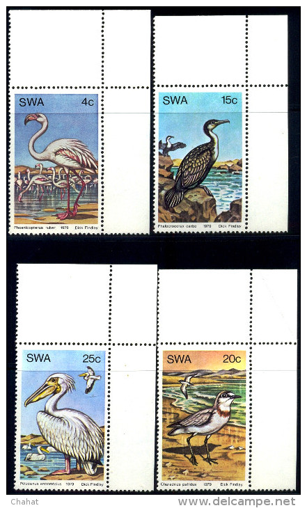 BIRDS-WATER BIRDS-SOUTH WEST AFRICA-1979-SET OF 4-MNH A6-409 - Flamants