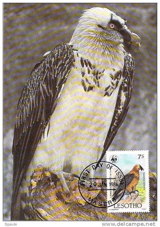 LESOTHO WWF CARTE MAXIMUM NUM.YVERT  664  PROTECTION DE LA NATURE OISEAU RAPACE GYPAETE BARBU - Cartoline Maximum