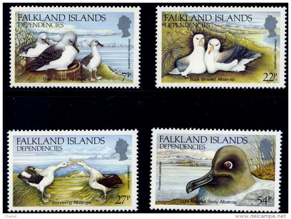 BIRDS-MARINE BIRDS-WANDERING ALBATROSS- FALKLAND ISLANDS DEPENDENCIES-1985-SET OF 4-MNH A6-413 - Marine Web-footed Birds