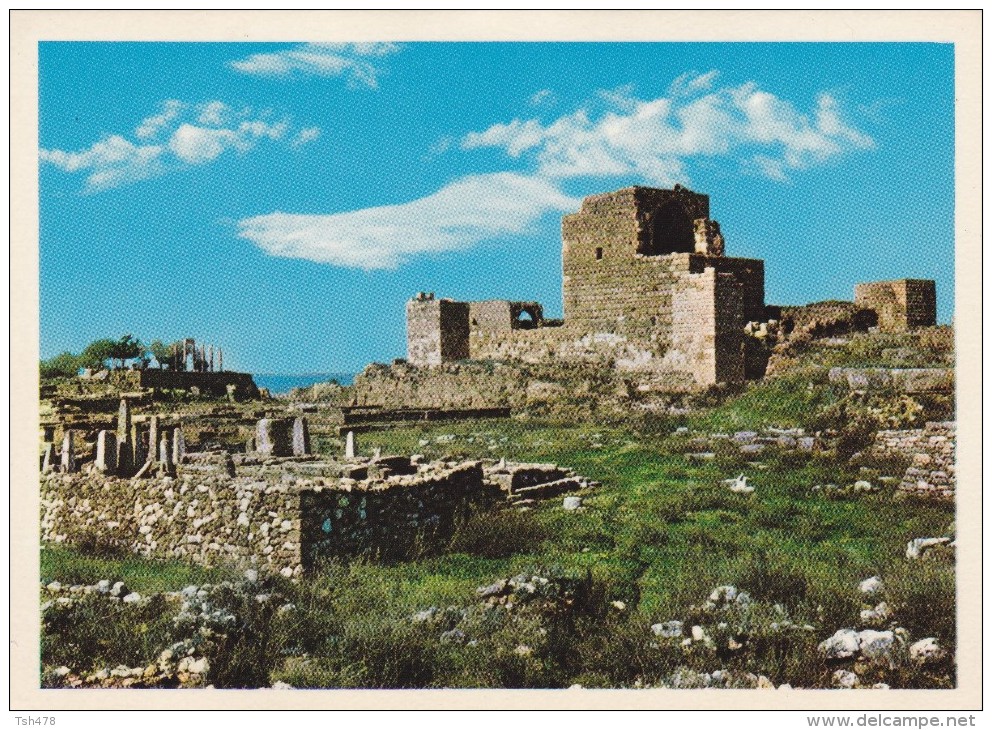 LIBAN----LEBANON--BYBLOS---l'obelisque Et La Citadelle---voir 2 Scans - Liban