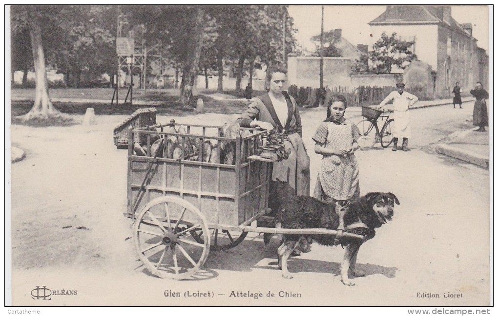 CPA - Métier - Boulangère - Attelage De Chien - Gien ( Loiret ) - Gros Plan - Otros & Sin Clasificación