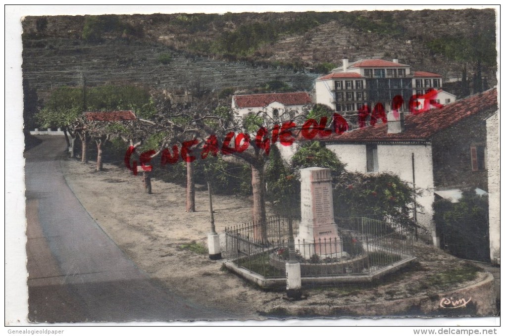 83 - CALLAS DU VAR - MONUMENT AUX MORTS ET LES " OLIVIER " 1960 - Callas