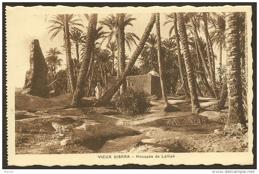 BISKRA Rare Vieux Briska Mosquée De Lollioh (Richardet) Algérie - Biskra