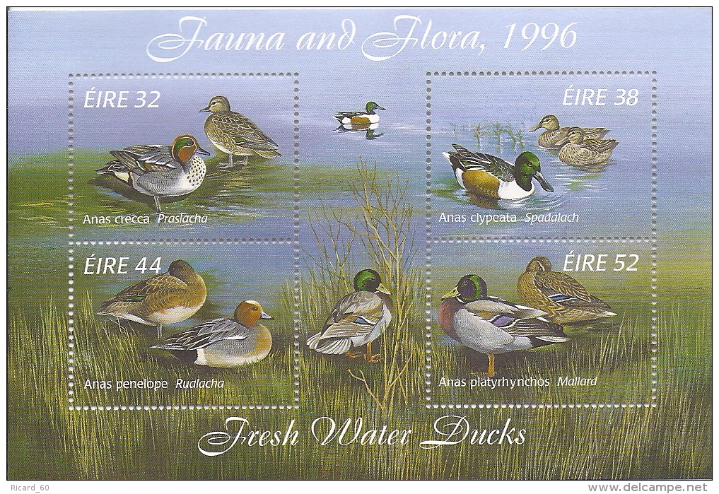 Bloc  Neuf Irlande N°23, Canards,  Fresh Water Ducks, 1996 - Hojas Y Bloques