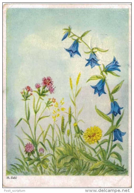 Thème - Illustration H Zahl - Fleurs - Zahl, H.