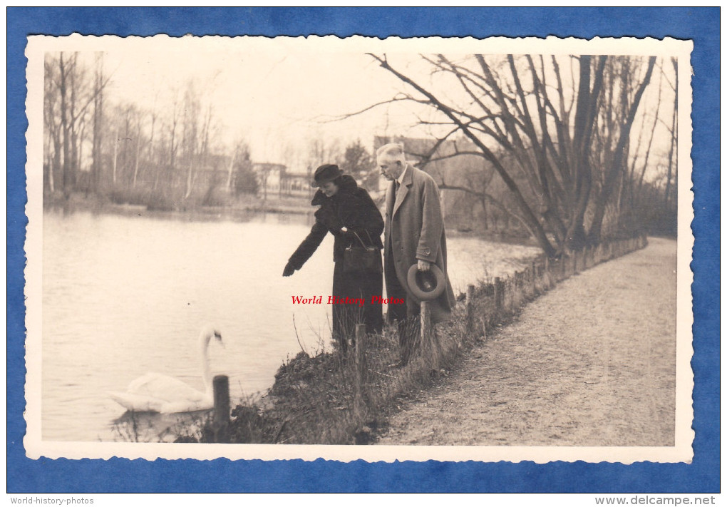 CPA Photo - BAD OEYNHAUSEN - Un Couple Donne à Manger Au Signe - 1937 - Chapeau Hat - Bad Oeynhausen