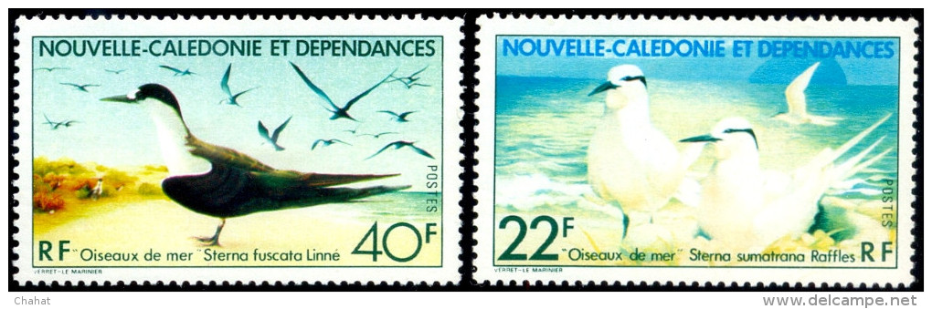 BIRDS-MARINE BIRDS-TERNS-NEW CALEDONIA-2v-1978--MNH-A6-415 - Marine Web-footed Birds