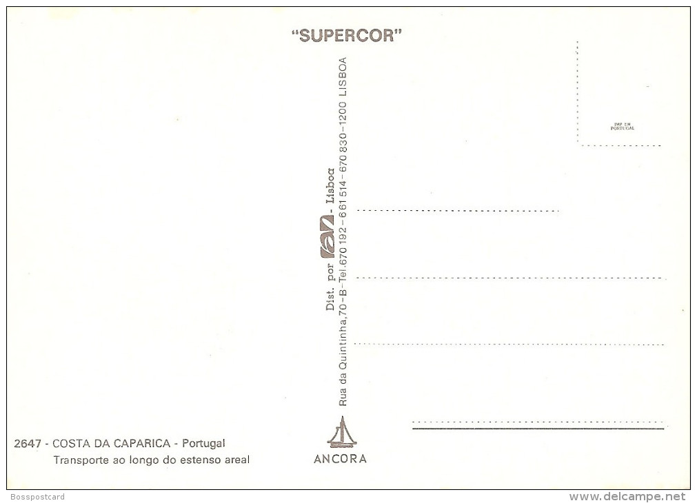 Costa Da Caparica - Transporte Ao Longo Do Extenso Areal. Almada. - Setúbal