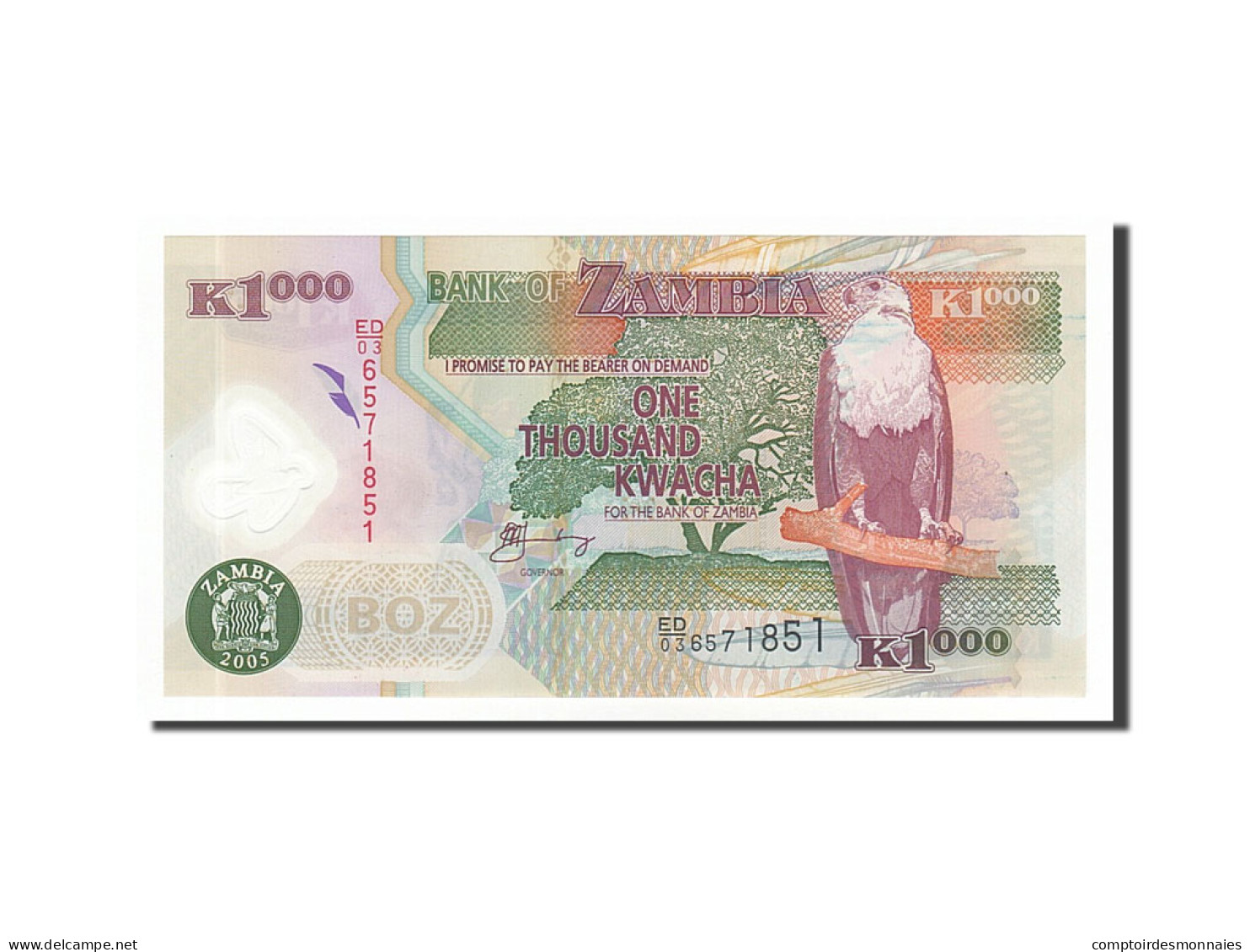 Billet, Zambie, 1000 Kwacha, 2005, NEUF - Zambie