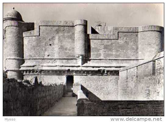 66  SALSES Le Chateau Le Donjon, Partie Superieure  Vu De La Tour Sud Ouest, Carte Photo - Salses