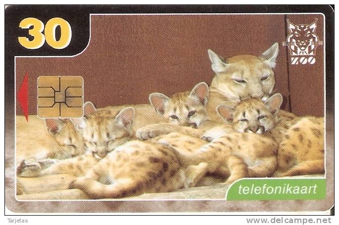 TARJETA DE ESTONIA DE UN PUMA (CAT) - Estonia