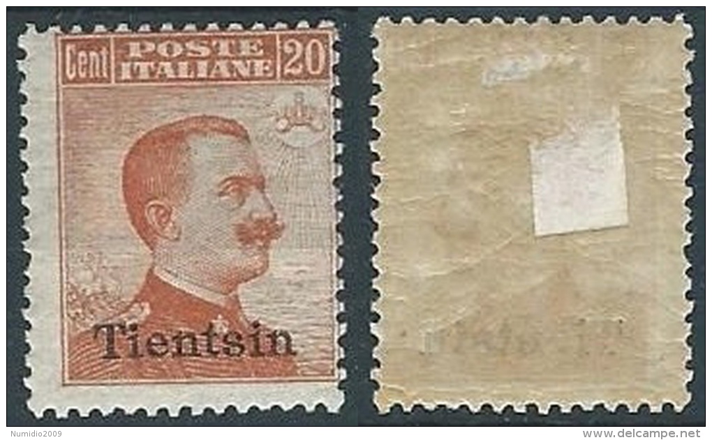 1917-18 UFFICIO POSTALI IN CINA TIENTSIN EFFIGIE 20 CENT MH * - W007-3 - Tientsin