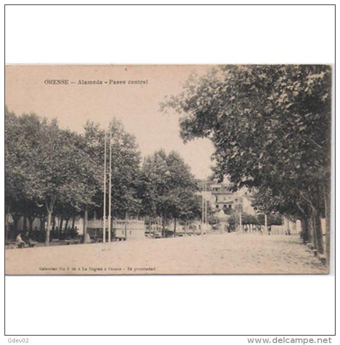 ORSTPA036-LFTD4591.Tarjeta Postal DE ORENSE.Arboles,personas Sentadas A La Sonbra,bancos.Paseo.ALAMEDA DE ORENSE - Orense