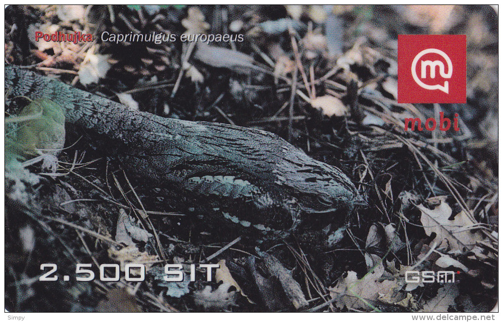 SLOVENIA Bird Nightjar Podhujka Caprimulgus Europeaus Mobil Prepaid Phonecard  31.12.2007 - Pájaros Cantores (Passeri)