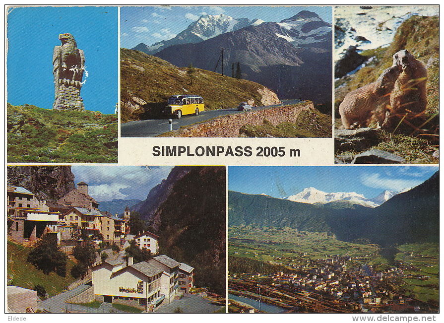 Simplonpass Brig Gondo  1966 Autobus Photo Et Flamme Marmotte - Simplon