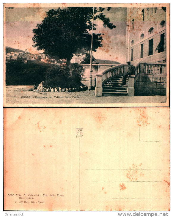 1009)cartolina Fiuggi-panorama Dal Palazzo Dela Fonte - Guidonia Montecelio