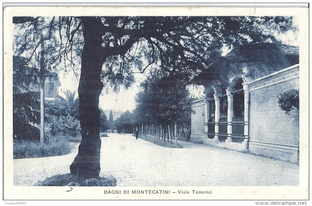 BAGNI DI MONTECATINI  -VIALE TAMERICI   CARTE ANIMEE - Autres & Non Classés