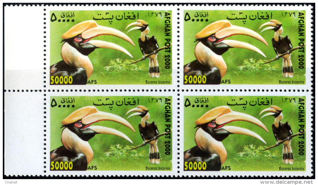 BIRDS-HORNBILLS-AFGHANISTAN-2000-BLOCK OF 4-MNH A6-426 - Piciformes (pájaros Carpinteros)