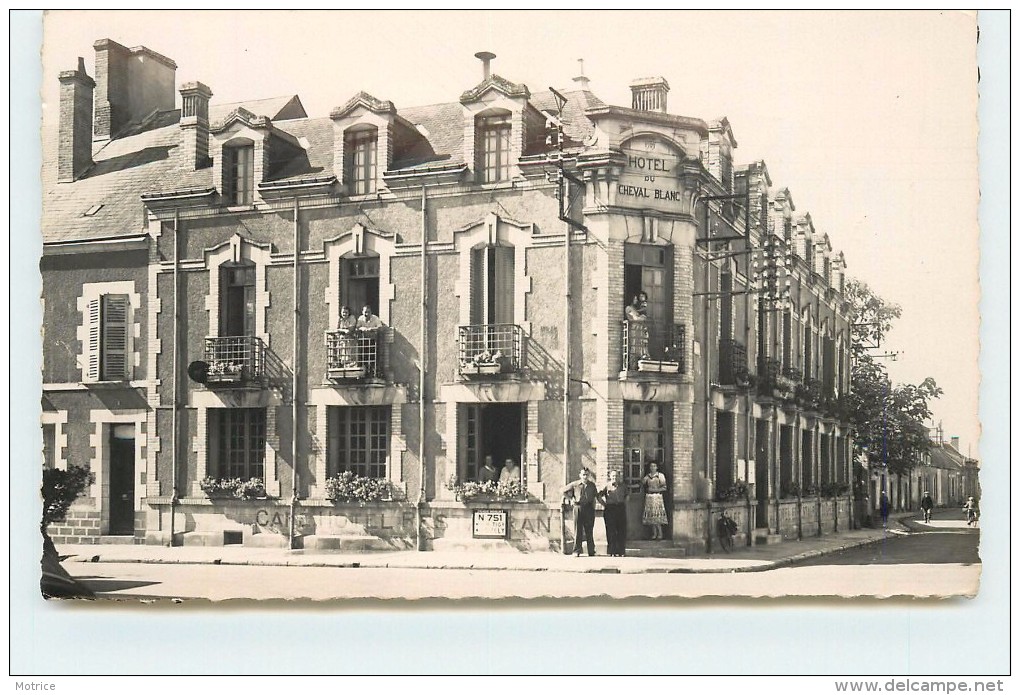 JARGEAU - Hôtel Du Cheval Blanc. - Jargeau