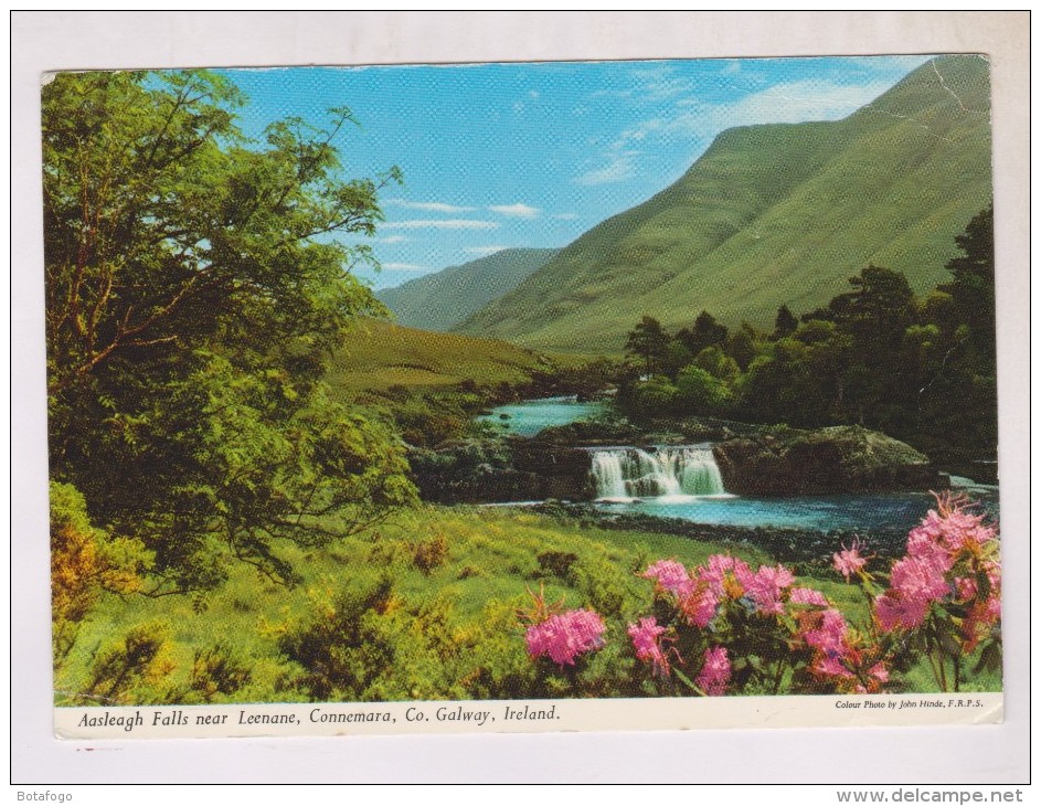 CPM CONNEMARA, AASLEAGH FALLS NEAR LEENANE (voir Timbres) - Galway