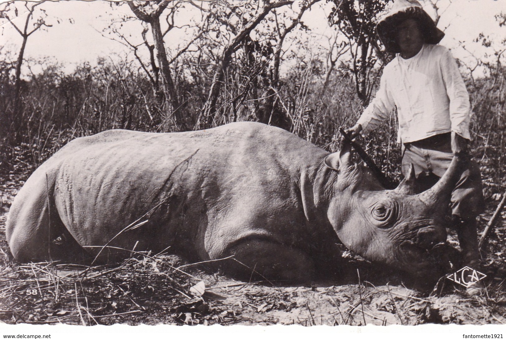 CAMEROUN : RHINOCEROS TUE (dil346) - Cameroun