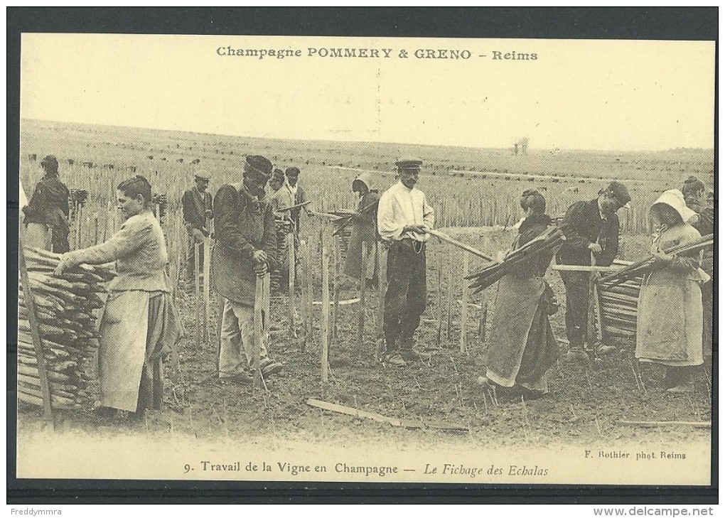 Travail De La Vigne En Champagne (Réédition D'une Carte Ancienne) - Vignes