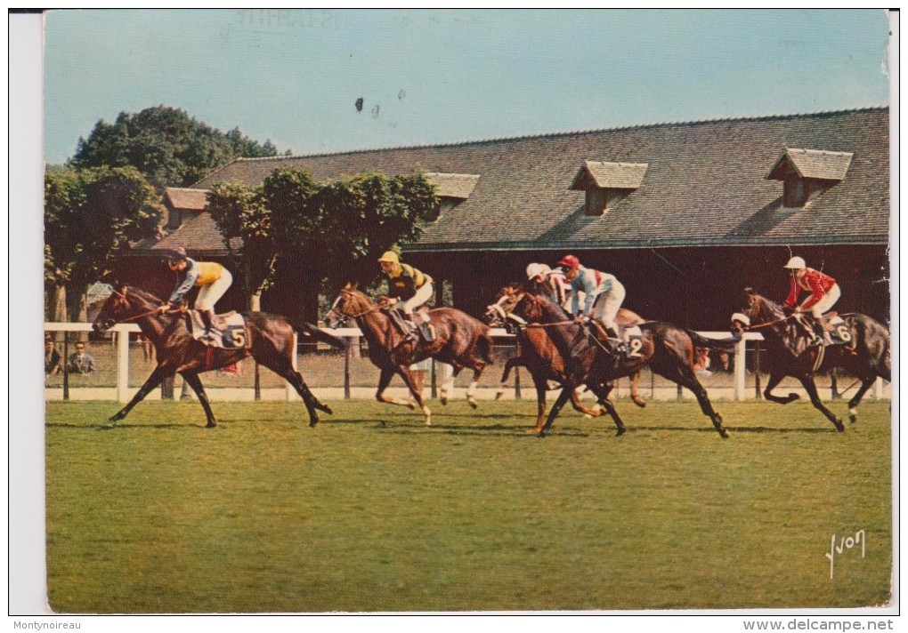 Yvelines :  MAISONS  LAFFITTE  : L  Hippodrome   1971 - Maisons-Laffitte