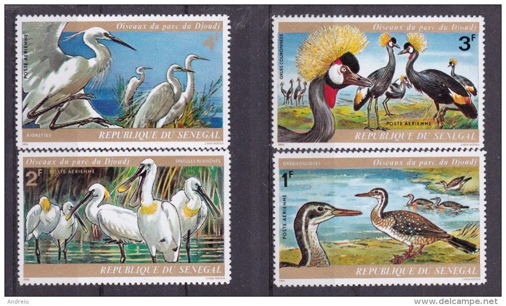 1974 SENEGAL - Birds 4v., Vogels, Oiseaux Du Parc Djoudj Yv 134/37 Michel 543/46  MNH - Albatros