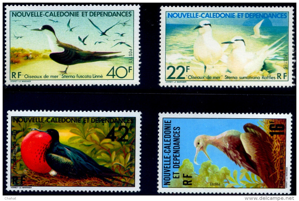 BIRDS-FRIGATE BIRD & SOOTY TERNS-NEW CALEDONIA-1977 & 1978-MNH A6-441 - Albatrosse & Sturmvögel