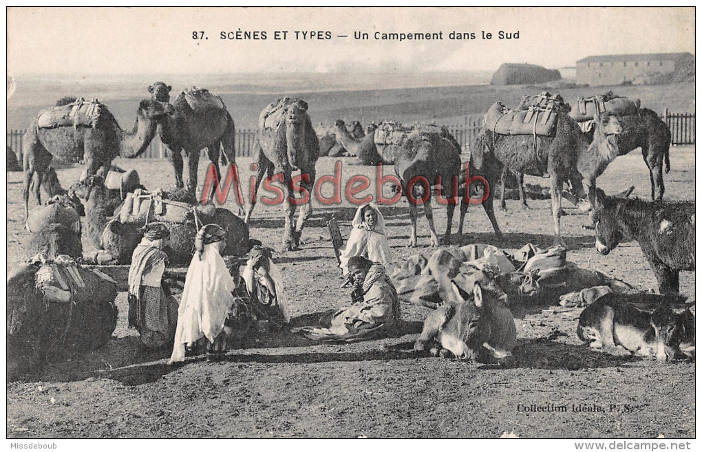 ALGERIE -   Un Campement Dans Le Sud - Dos Vierge - 2 Scans - TTBE - Scenes