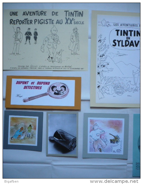 Lot 12 Docs TINTIN PARA-TINTIN (cartes PASTICHES + RARETÉS Diverses) / LOT N°2 - Tintin