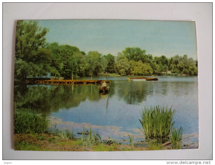 Postcard Postal Berlin Weiber See In Weibensee - Weissensee