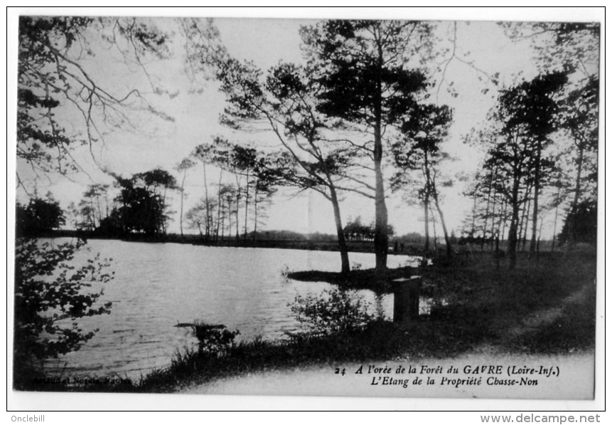 Forêt Du Gavre Loire Atlantique Lot 2cpa Chêne Au Duc Lac 1916 état Superbe - Le Gavre