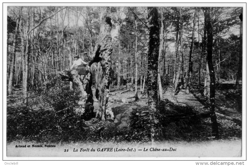 Forêt Du Gavre Loire Atlantique Lot 2cpa Chêne Au Duc Lac 1916 état Superbe - Le Gavre