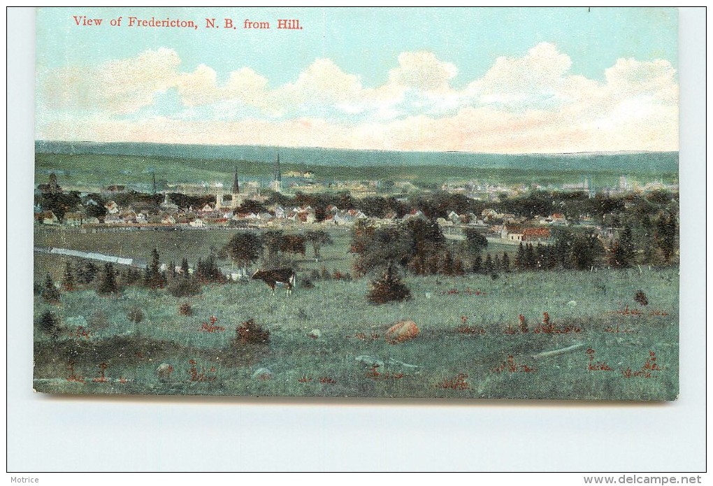 VIEW OF FREDERICTON - From Hill. - Fredericton