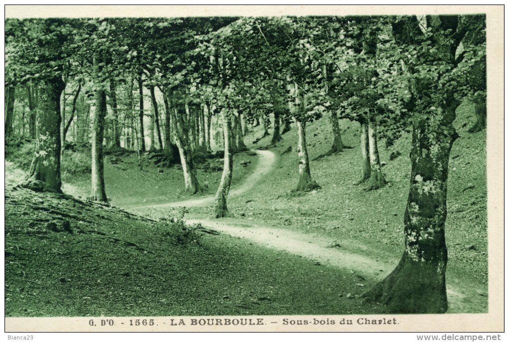 B11848 La Bourboule -   Sous Bois De Charlet - La Bourboule