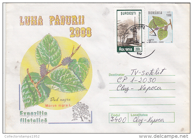 17684- TREES, BLACK MULBERRY, COVER STATIONERY, 2000, ROMANIA - Trees